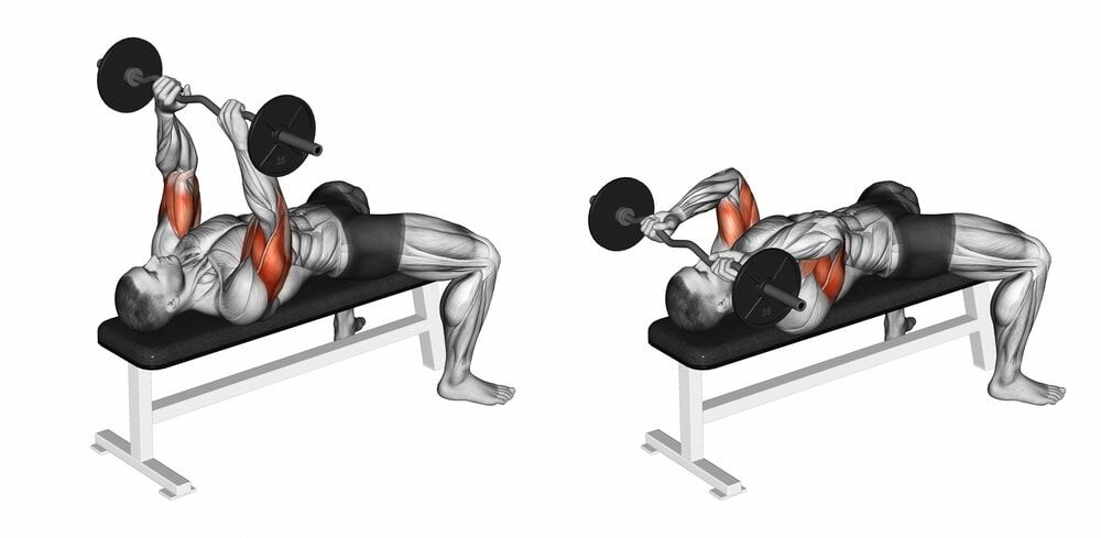 Ultimate Guide on How to Perform Dumbbell Skull Crushers